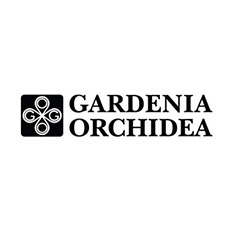 gardenia orchidea