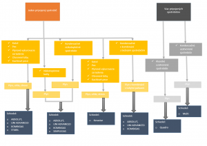 Schema